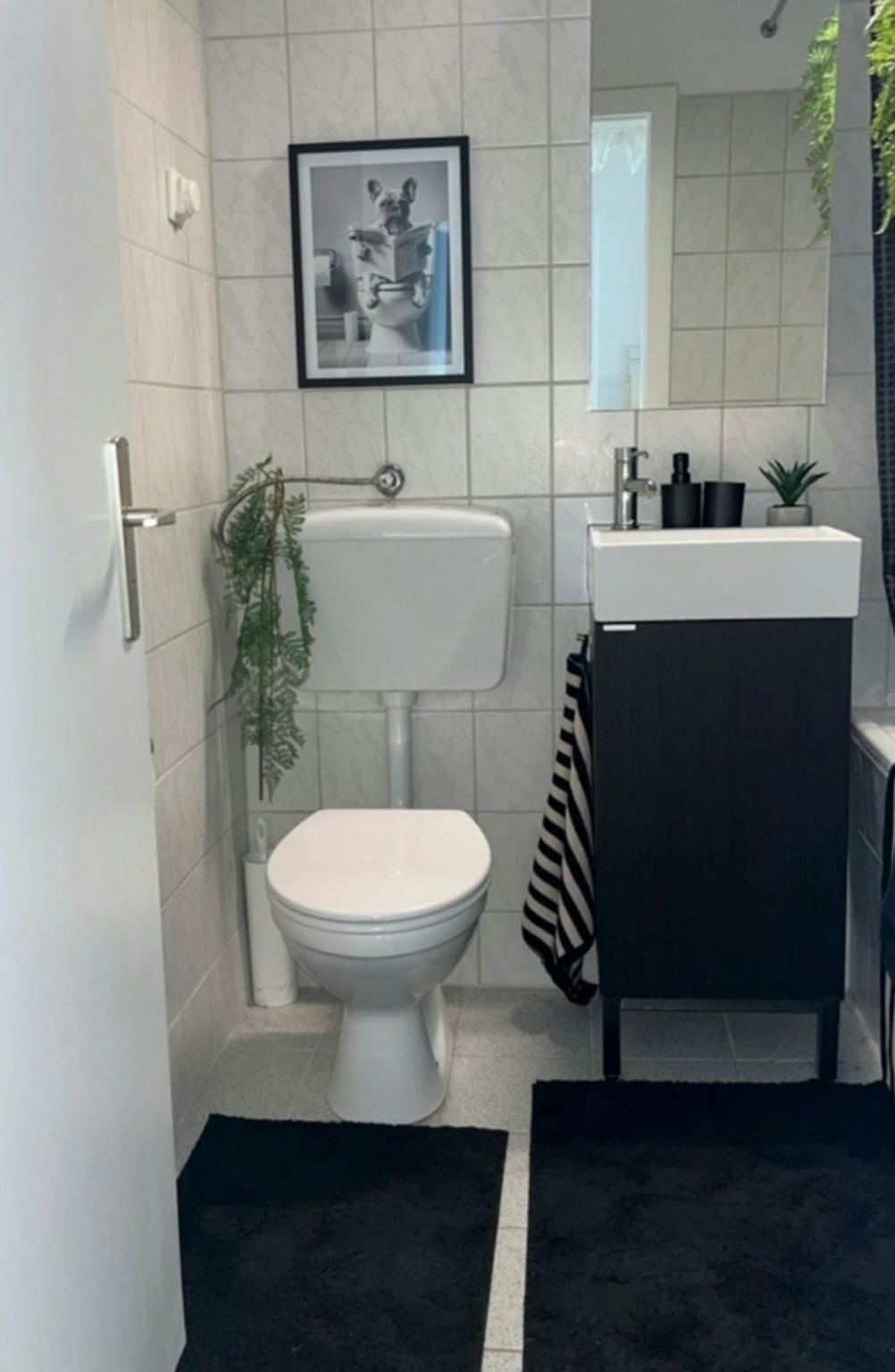 Apartment, Geistenstraße, Dusseldorf