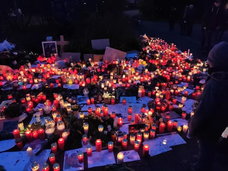 Krefeld zoo fire: three women hand themselves in to German police