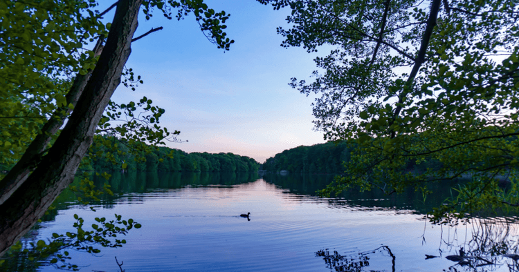 5 best Berlin lakes for swimming