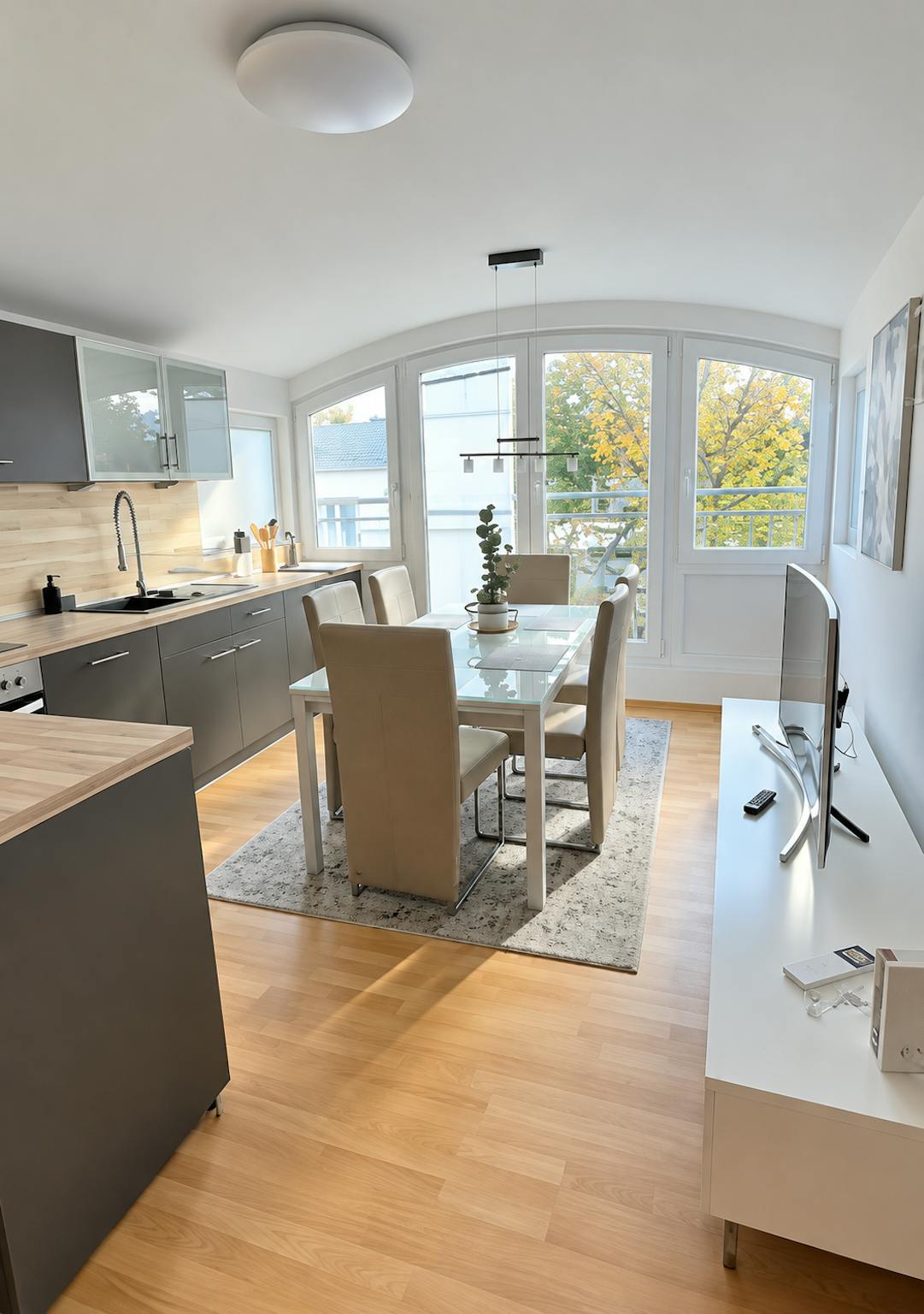 Apartment, Wolfratshauser Straße, Munich