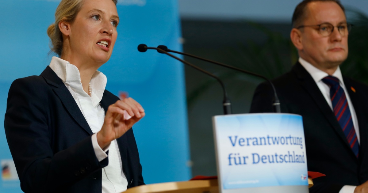 Leaders of far-right AfD reelected at party congress