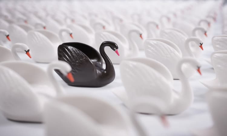 Black Swan Capital: Helping expats smartly manage their finances