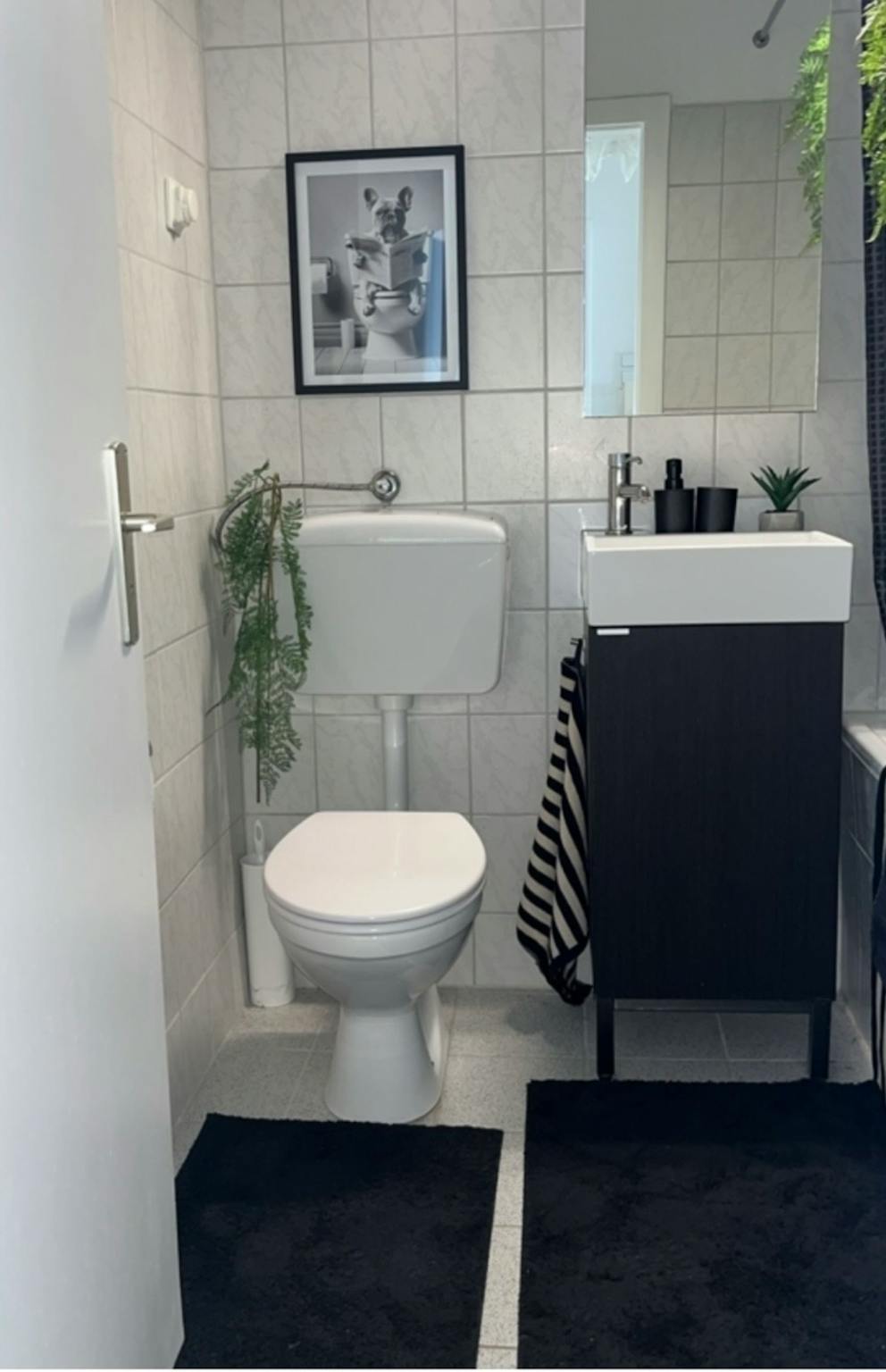 Apartment, Geistenstraße, Dusseldorf