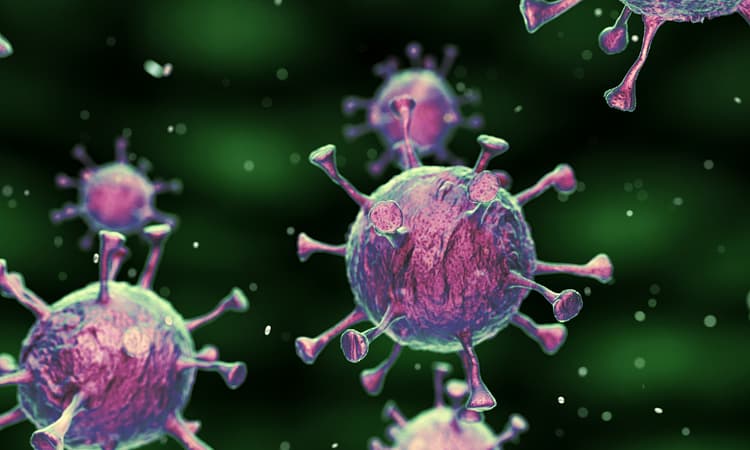 Germany approves first clinical trial of coronavirus vaccine