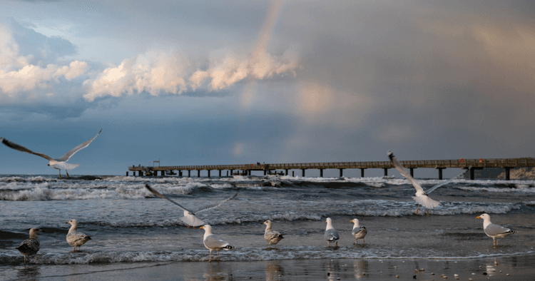 DWD issues storm warning for Germany, but 28C forecast for weekend