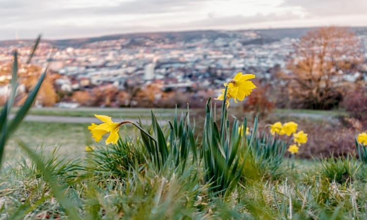 March 2023: 8 changes affecting expats in Germany
