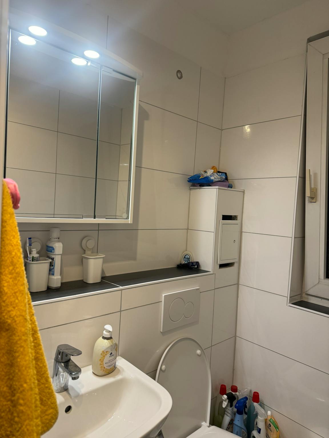 Apartment, Varrentrappstraße, Frankfurt