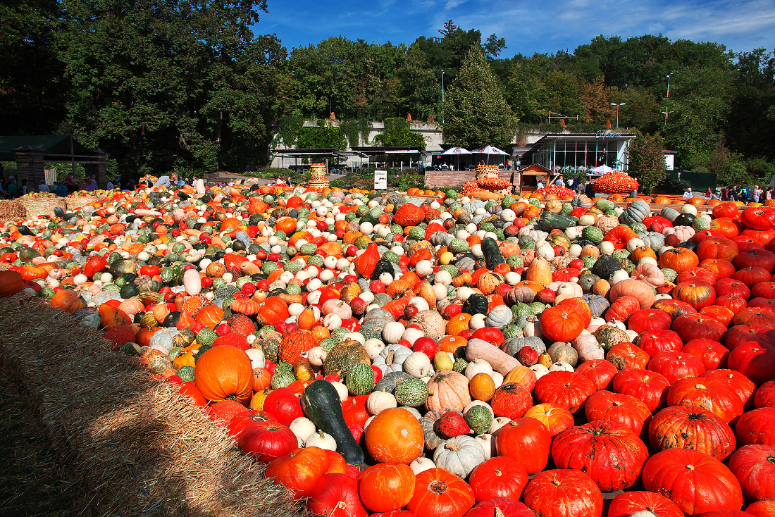 pumpkin festival ludwigsburg
