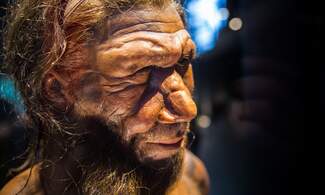Neanderthal gene boosts risk of severe COVID-19 infection, German study finds