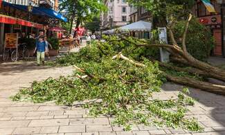 Storm Sabine caused damages of 675 million euros in Germany