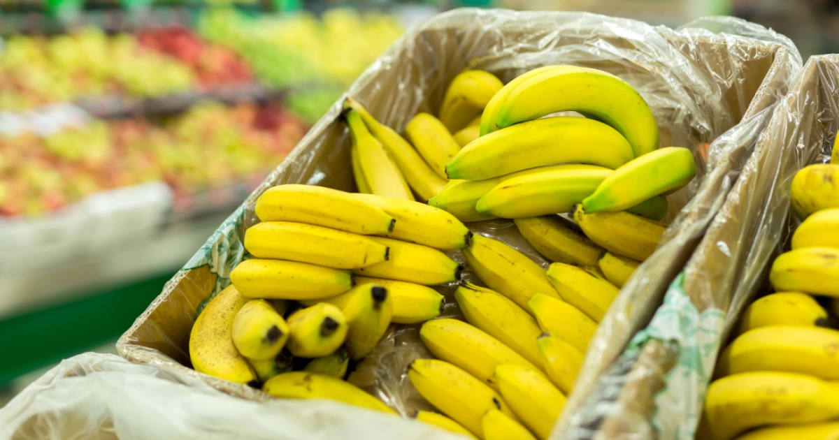 Cocaine found among bananas at 11 Lidl supermarkets in Germany
