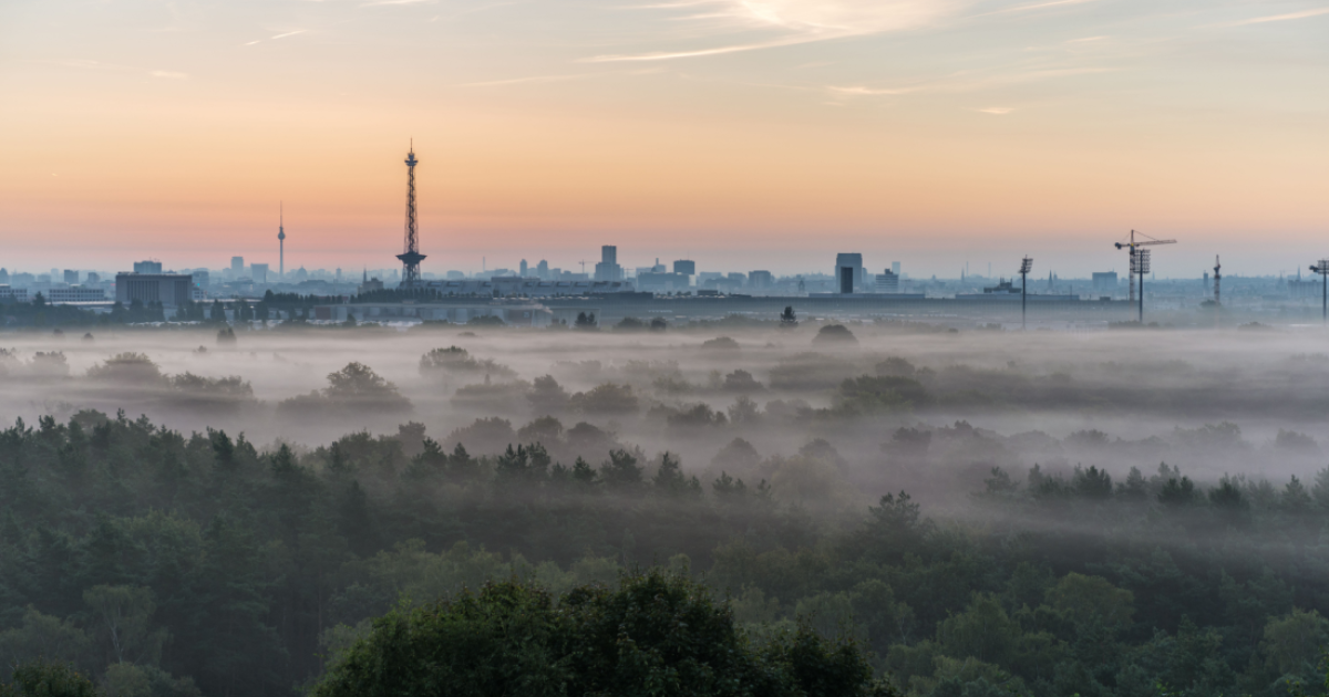 Berlin to plant 500.000 new trees