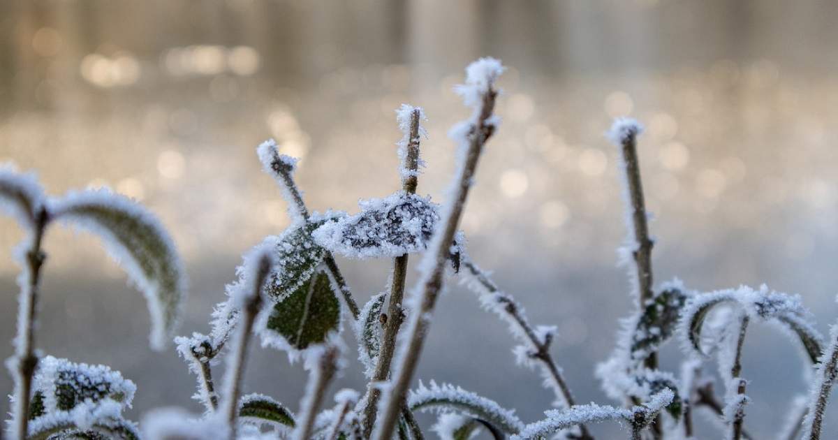 Photo of Der erste Schnee des Winters 2022 zieht durch Deutschland